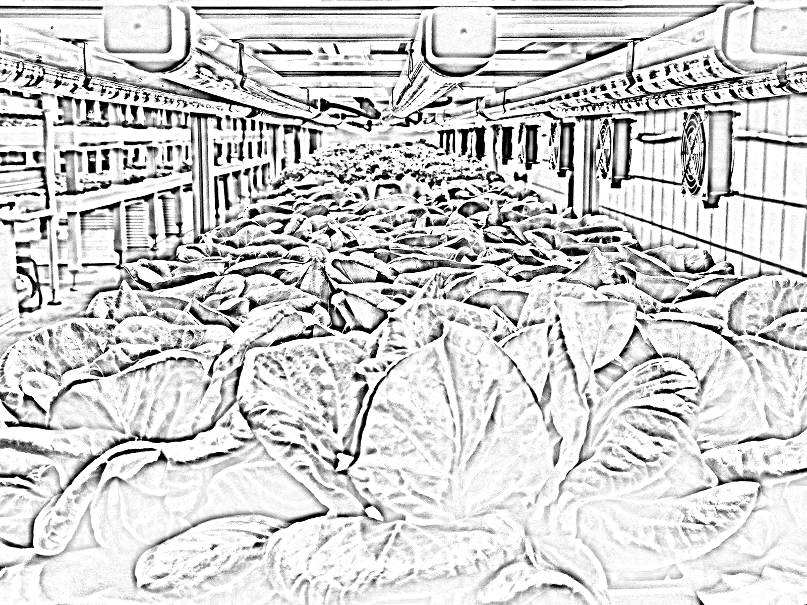 Bild der Kategorie : Sonderleuchten